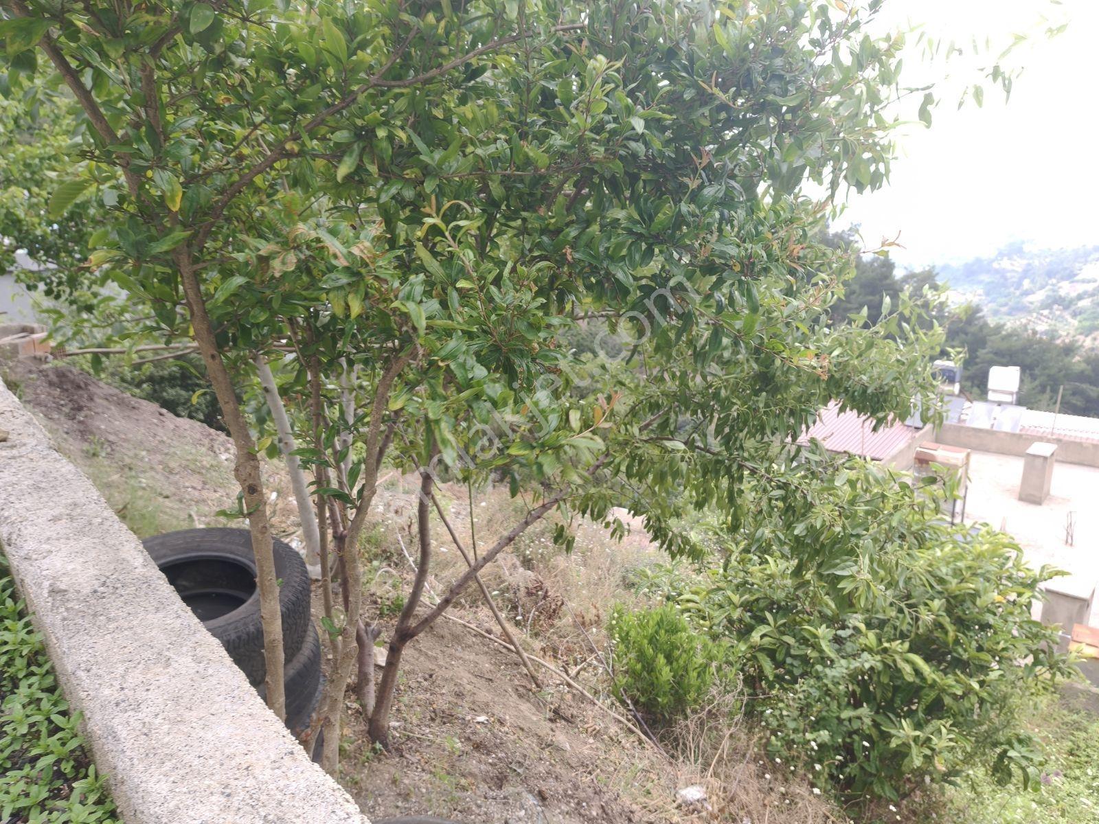 Belen Merkezde Satılık Arsa — fotoğraf 7
