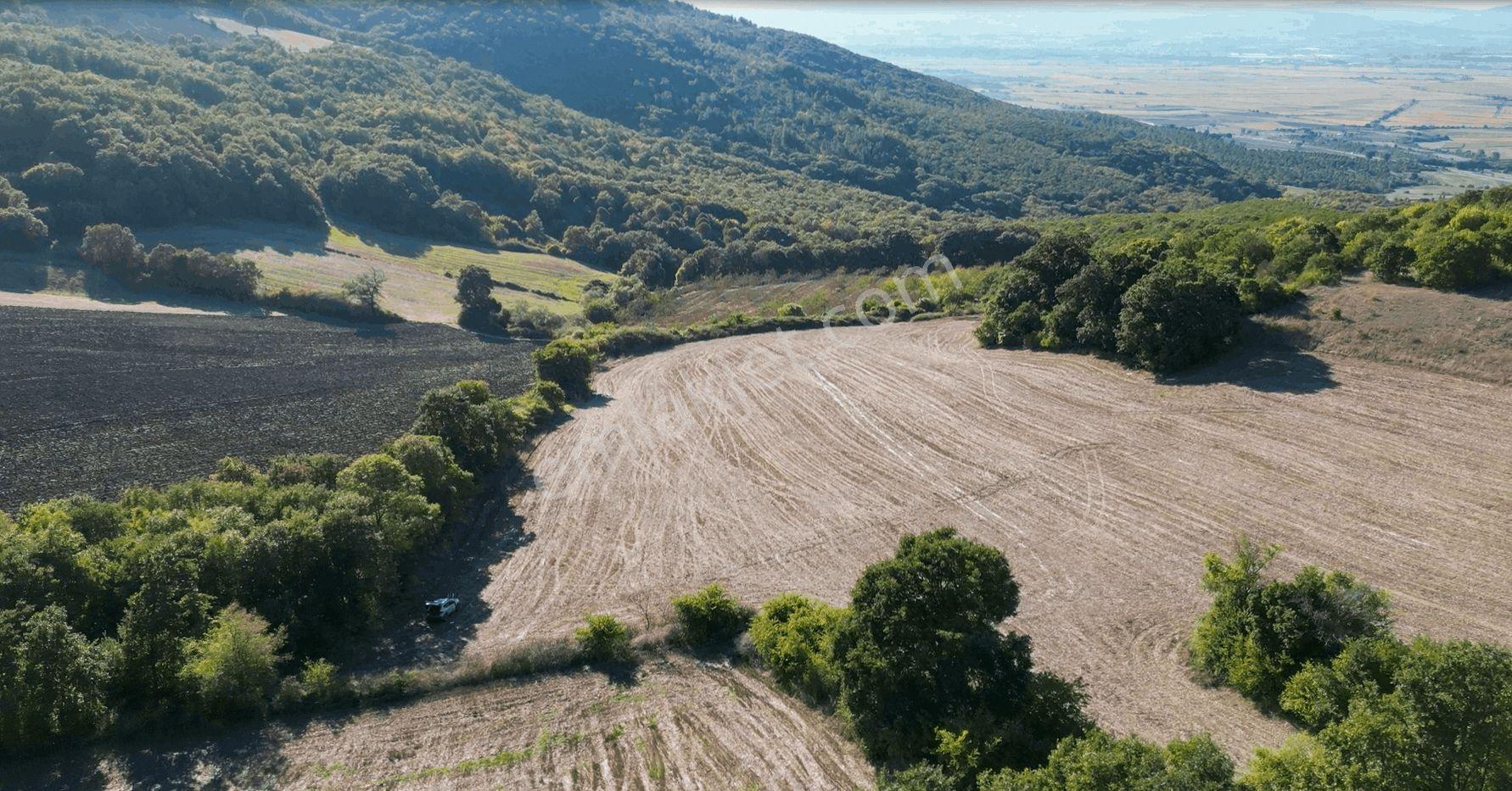"x Keşif Arazi’den 11.690 M² Satılık Tarla Balıkesir / Gönen / Çakmak Köyü — fotoğraf 6