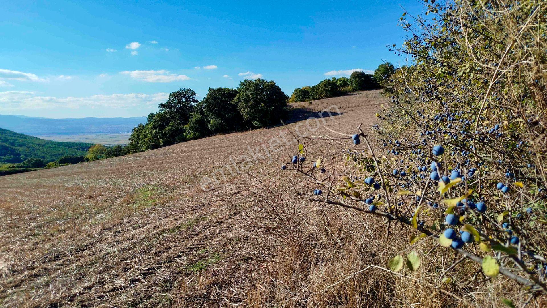 "x Keşif Arazi’den 11.690 M² Satılık Tarla Balıkesir / Gönen / Çakmak Köyü — fotoğraf 7