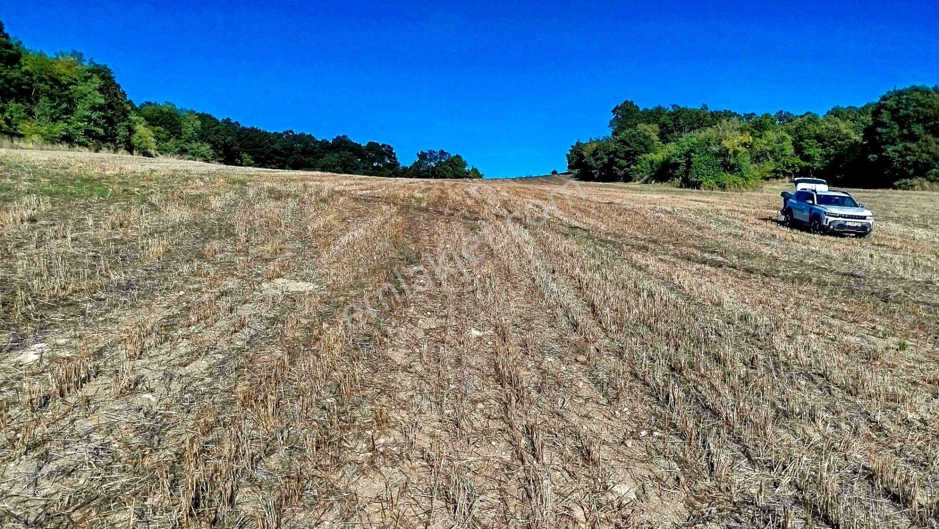 "x Keşif Arazi’den 11.690 M² Satılık Tarla Balıkesir / Gönen / Çakmak Köyü — fotoğraf 11