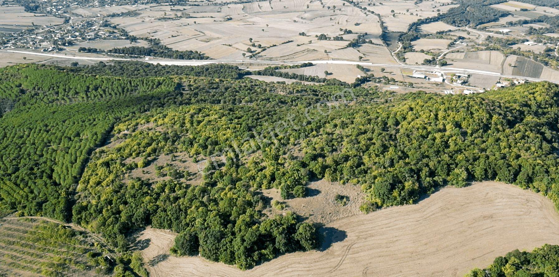 "x Keşif Arazi’den 11.690 M² Satılık Tarla Balıkesir / Gönen / Çakmak Köyü — fotoğraf 12