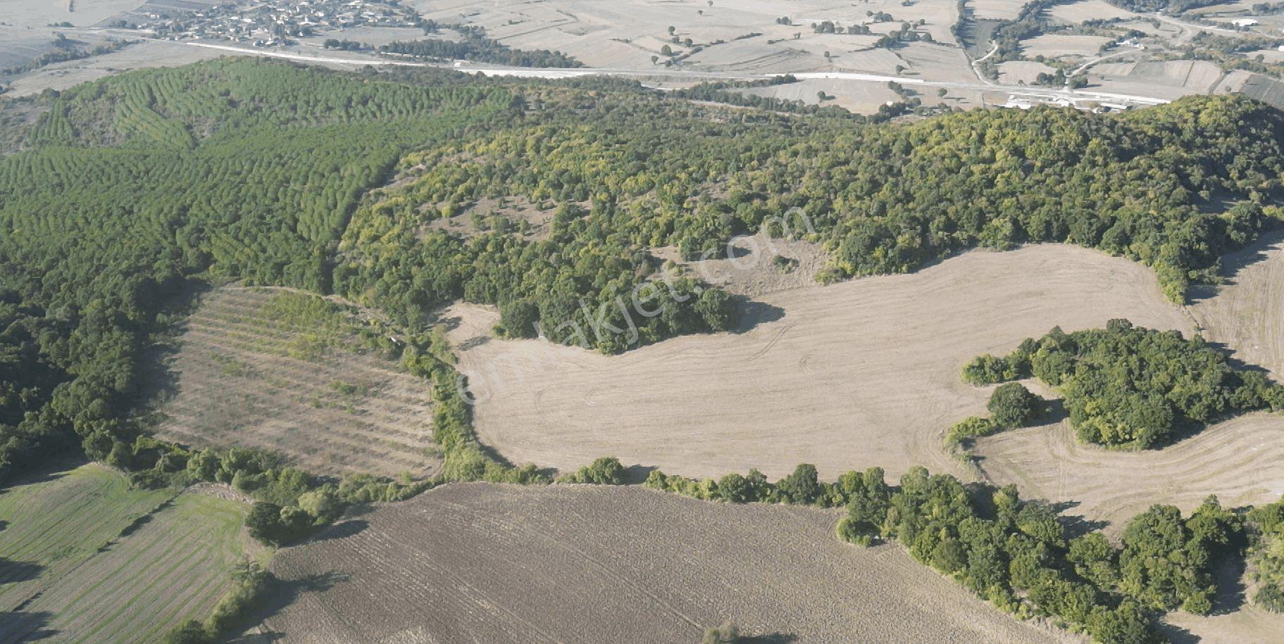 "x Keşif Arazi’den 11.690 M² Satılık Tarla Balıkesir / Gönen / Çakmak Köyü — fotoğraf 16