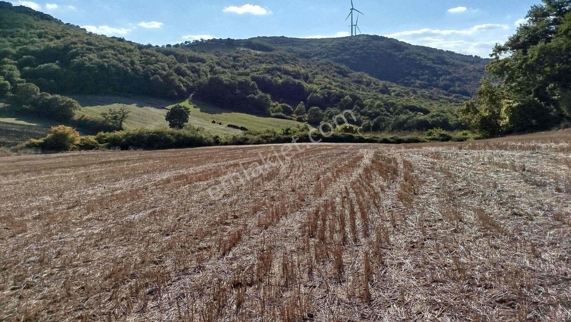 "x Keşif Arazi’den 11.690 M² Satılık Tarla Balıkesir / Gönen / Çakmak Köyü — fotoğraf 17