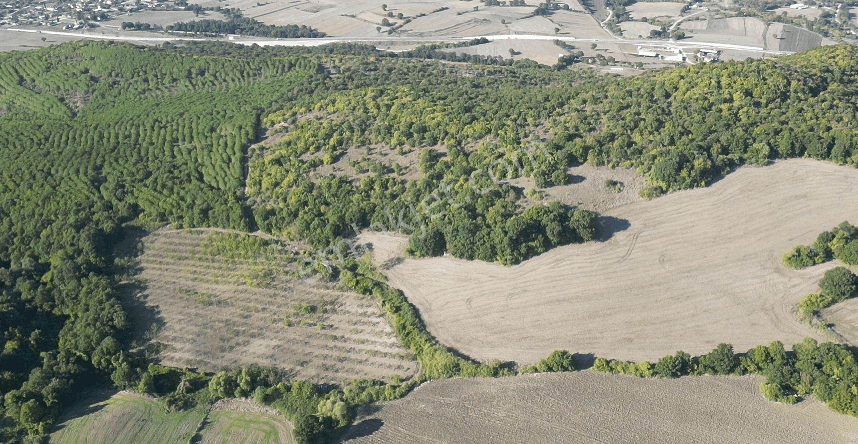 "x Keşif Arazi’den 11.690 M² Satılık Tarla Balıkesir / Gönen / Çakmak Köyü — fotoğraf 18