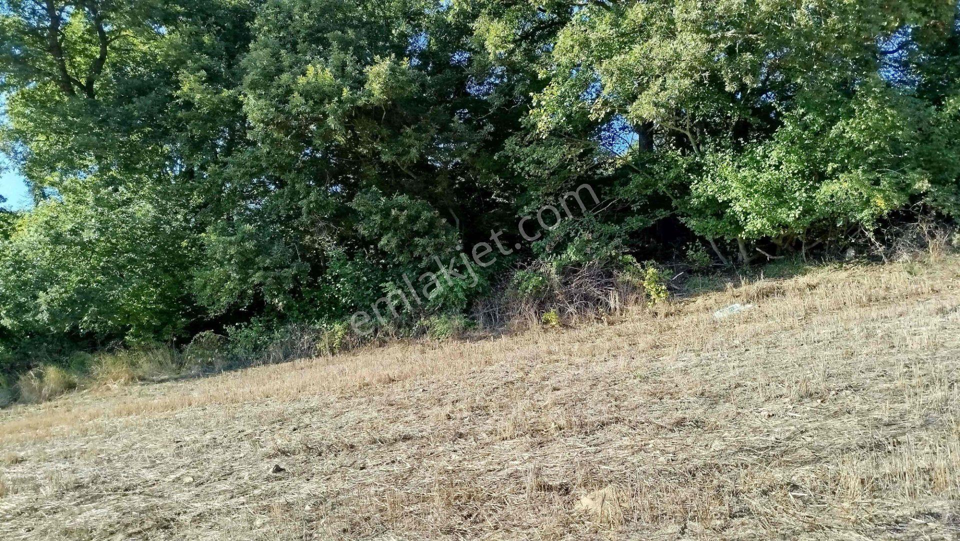 "x Keşif Arazi’den 11.690 M² Satılık Tarla Balıkesir / Gönen / Çakmak Köyü — fotoğraf 23