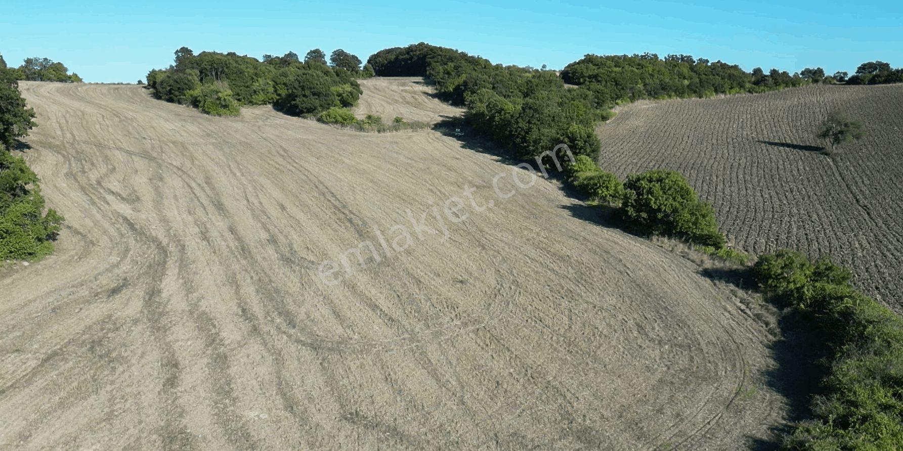 "x Keşif Arazi’den 11.690 M² Satılık Tarla Balıkesir / Gönen / Çakmak Köyü — fotoğraf 24