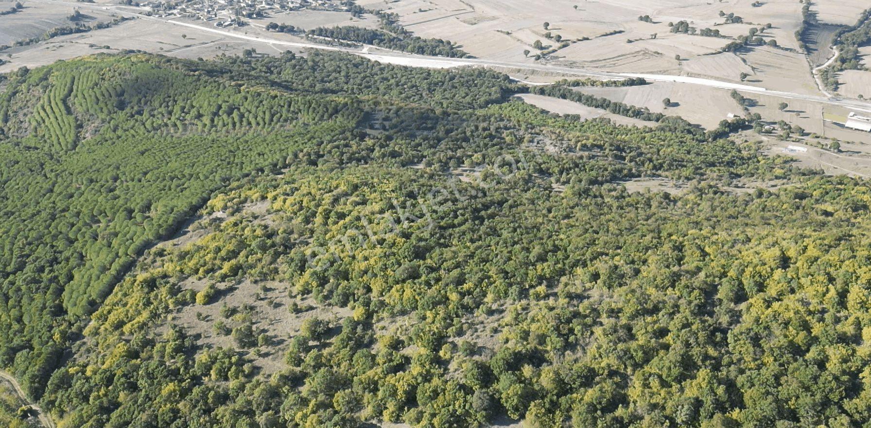 "x Keşif Arazi’den 11.690 M² Satılık Tarla Balıkesir / Gönen / Çakmak Köyü — fotoğraf 26