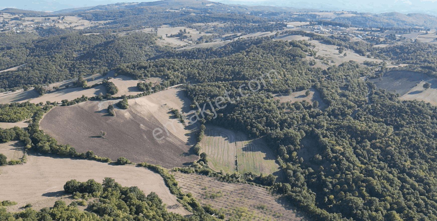"x Keşif Arazi’den 11.690 M² Satılık Tarla Balıkesir / Gönen / Çakmak Köyü — fotoğraf 27