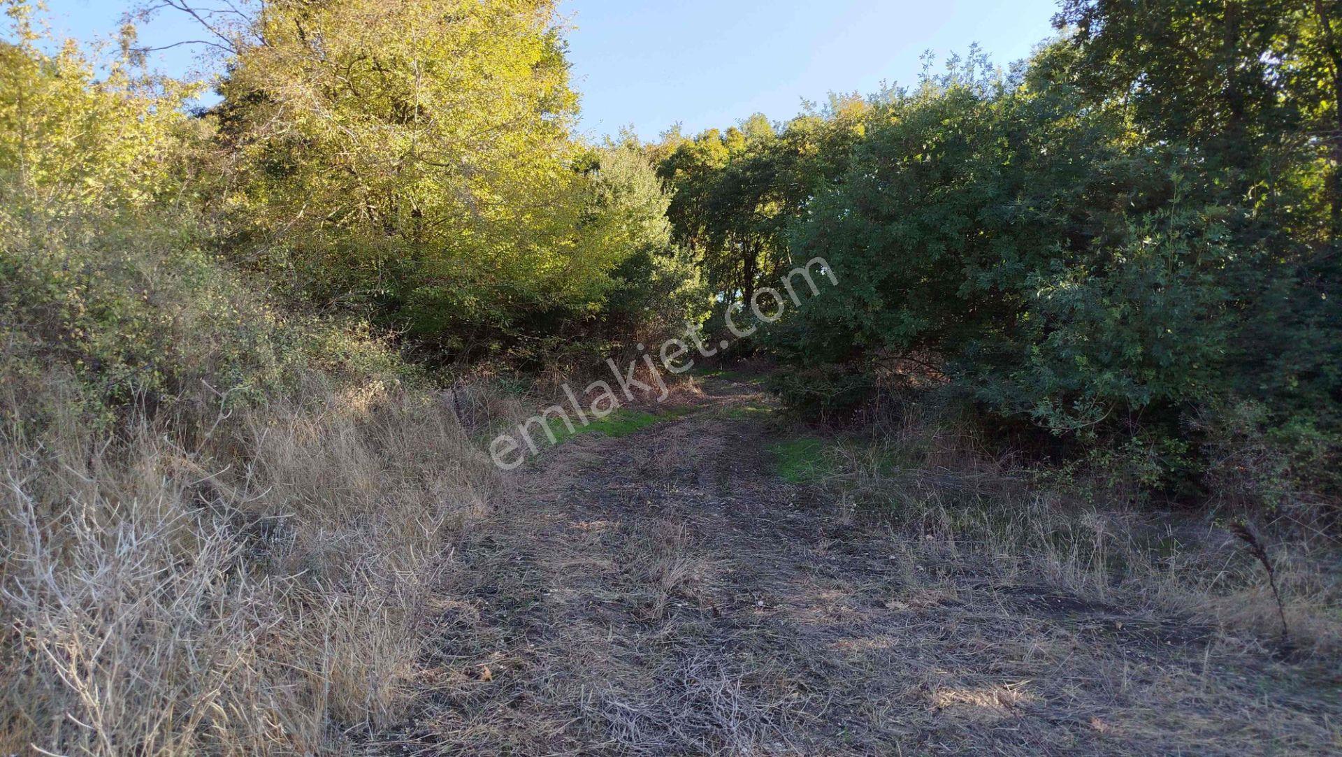 "x Keşif Arazi’den 11.690 M² Satılık Tarla Balıkesir / Gönen / Çakmak Köyü — fotoğraf 30
