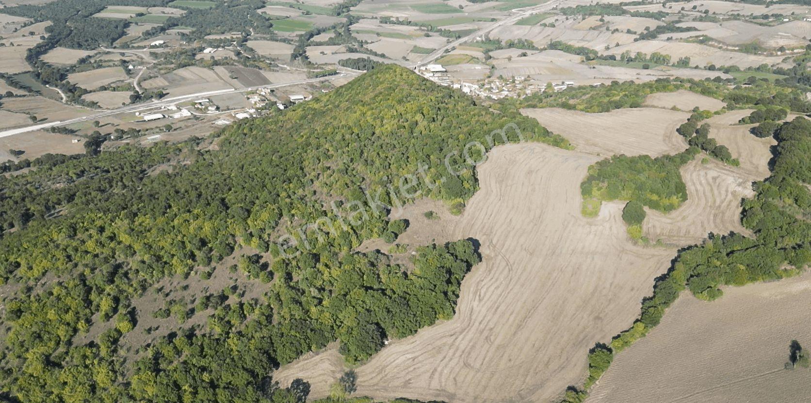 "x Keşif Arazi’den 11.690 M² Satılık Tarla Balıkesir / Gönen / Çakmak Köyü — fotoğraf 33