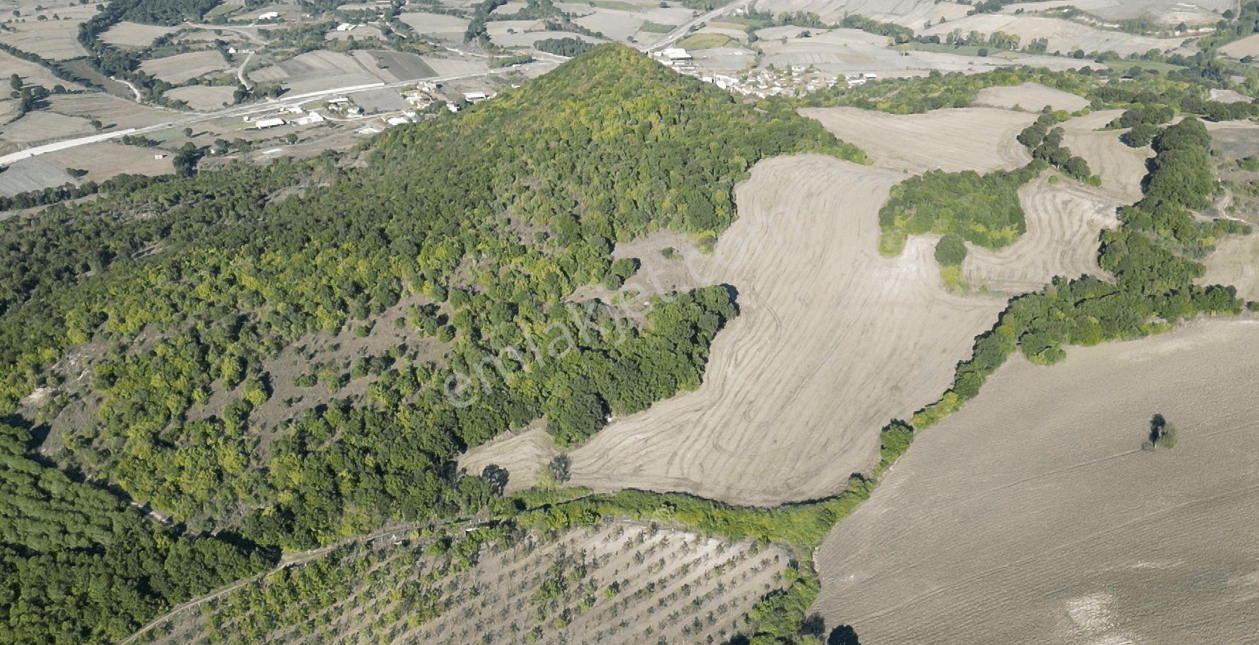 "x Keşif Arazi’den 11.690 M² Satılık Tarla Balıkesir / Gönen / Çakmak Köyü — fotoğraf 34