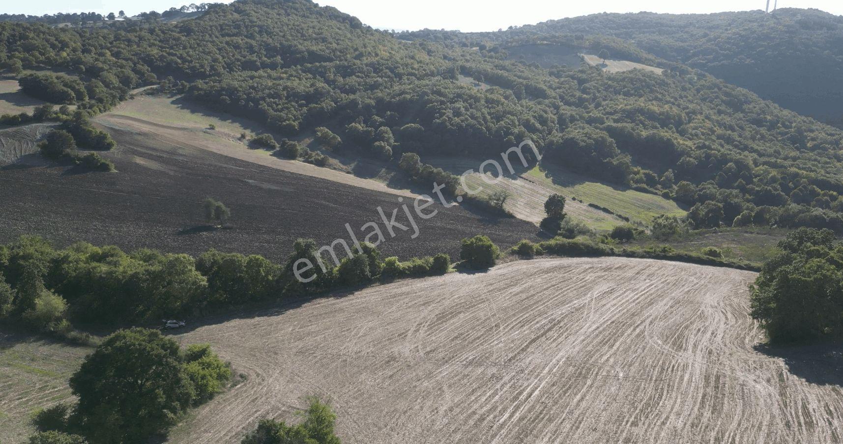 "x Keşif Arazi’den 11.690 M² Satılık Tarla Balıkesir / Gönen / Çakmak Köyü — fotoğraf 36