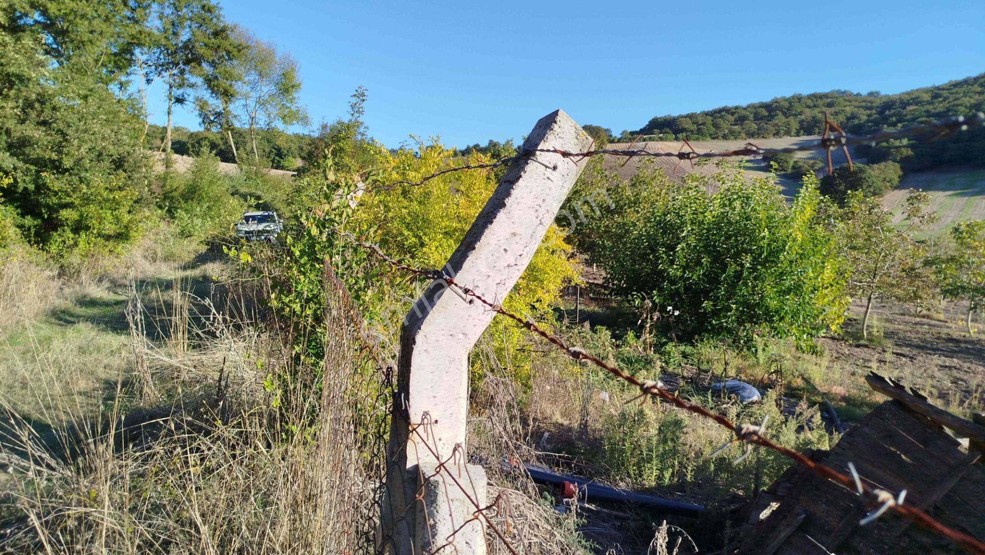 "x Keşif Arazi’den 11.690 M² Satılık Tarla Balıkesir / Gönen / Çakmak Köyü — fotoğraf 37
