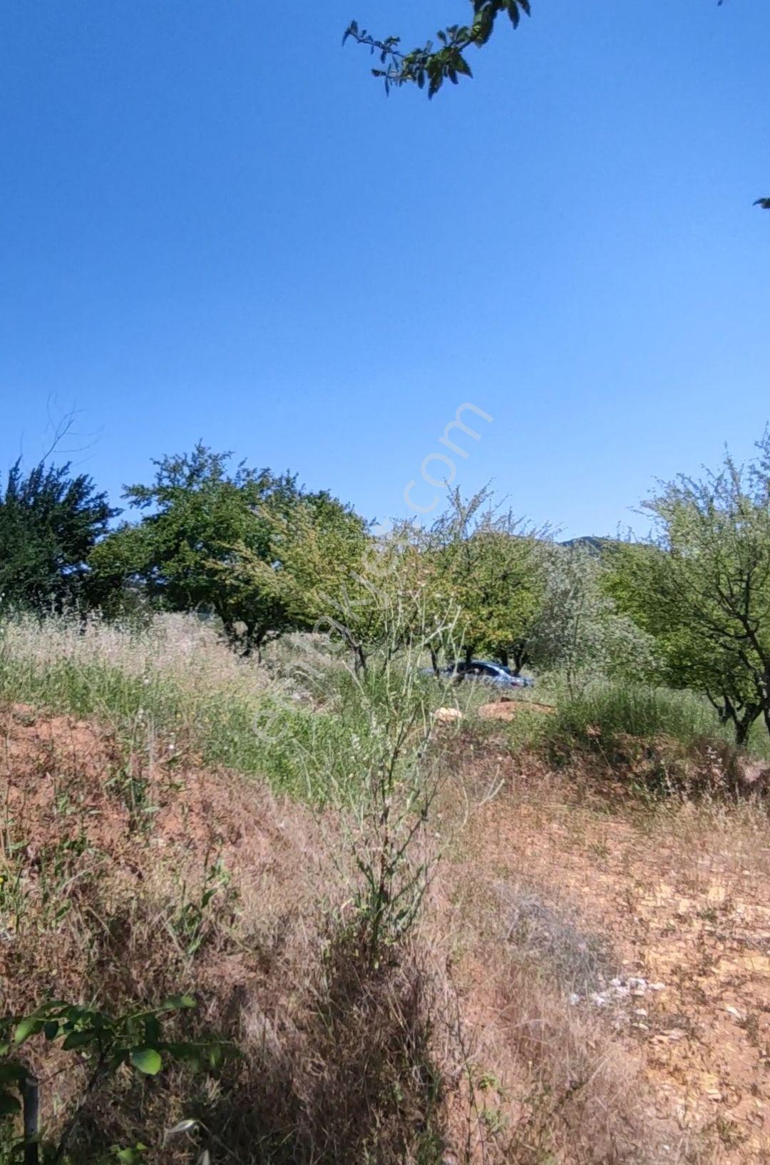 Yenişehir Kızılhisar Da 6487,m2 Yolu Ve Suyu Olan Meyve Bahçesi — fotoğraf 3