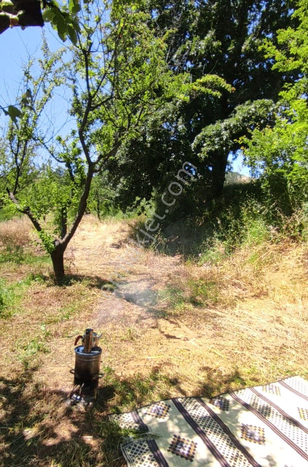 Yenişehir Kızılhisar Da 6487,m2 Yolu Ve Suyu Olan Meyve Bahçesi — fotoğraf 12