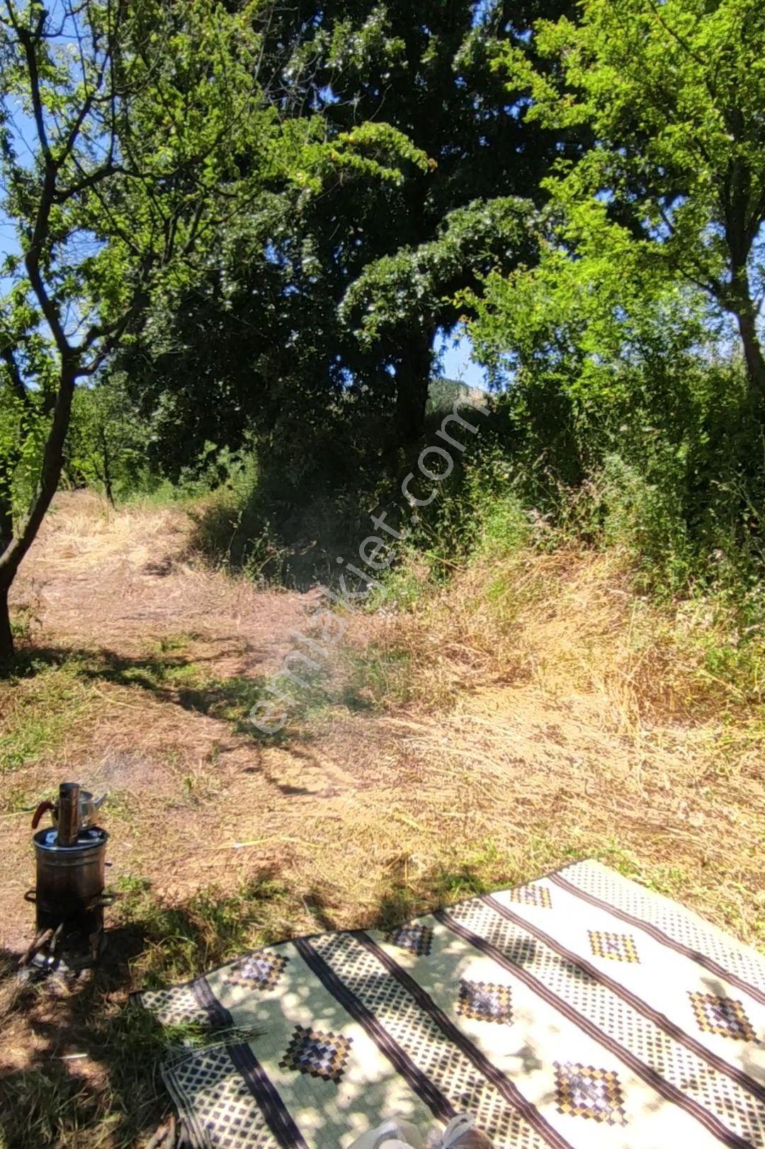 Yenişehir Kızılhisar Da 6487,m2 Yolu Ve Suyu Olan Meyve Bahçesi — fotoğraf 22
