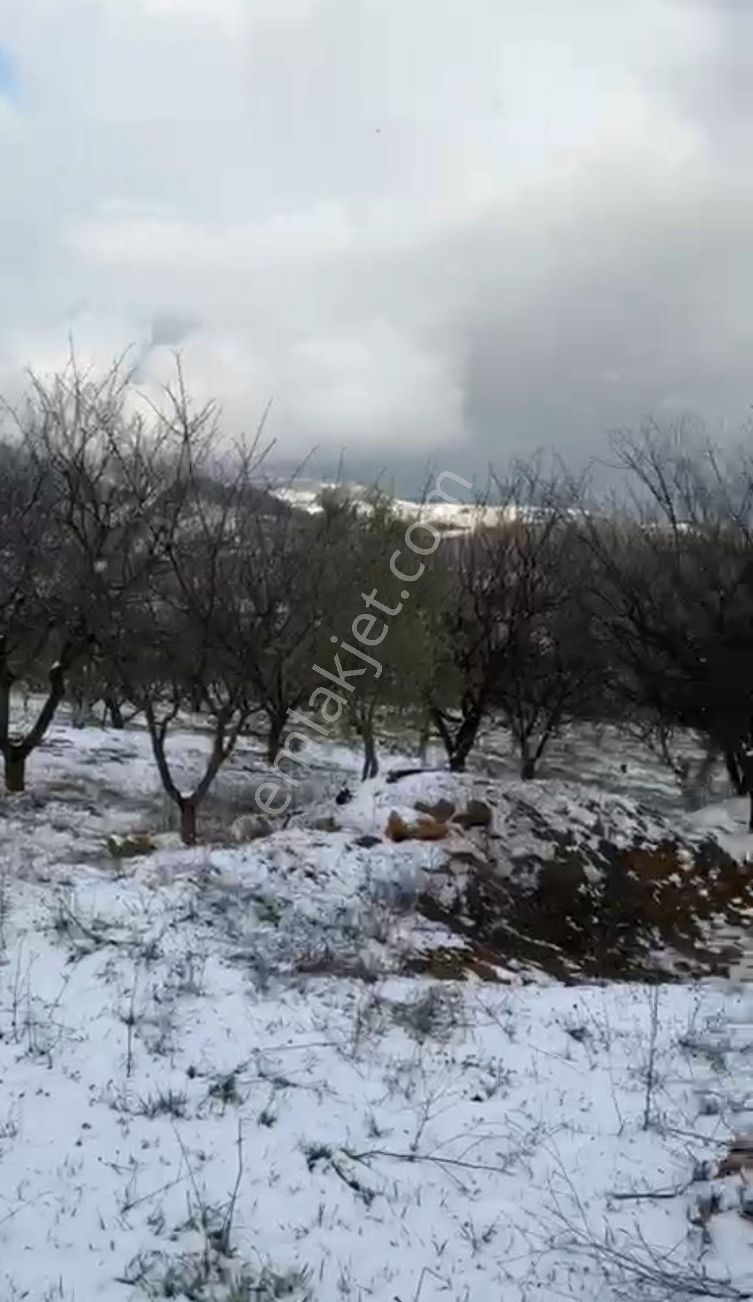 Yenişehir Kızılhisar Da 6487,m2 Yolu Ve Suyu Olan Meyve Bahçesi — fotoğraf 24