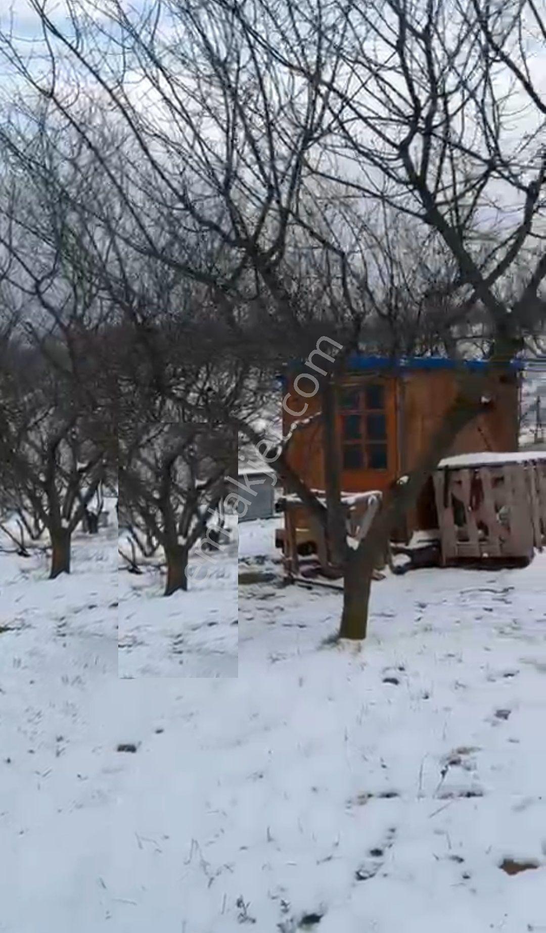 Yenişehir Kızılhisar Da 6487,m2 Yolu Ve Suyu Olan Meyve Bahçesi — fotoğraf 25