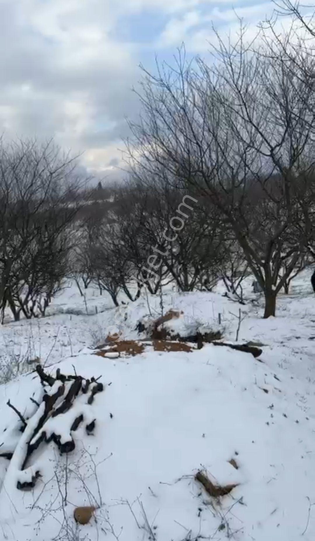 Yenişehir Kızılhisar Da 6487,m2 Yolu Ve Suyu Olan Meyve Bahçesi — fotoğraf 26