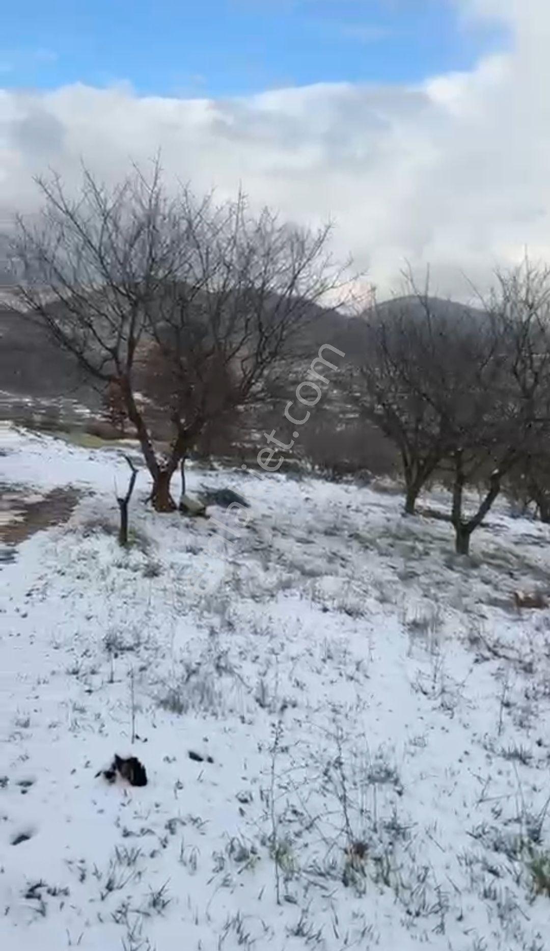 Yenişehir Kızılhisar Da 6487,m2 Yolu Ve Suyu Olan Meyve Bahçesi — fotoğraf 28