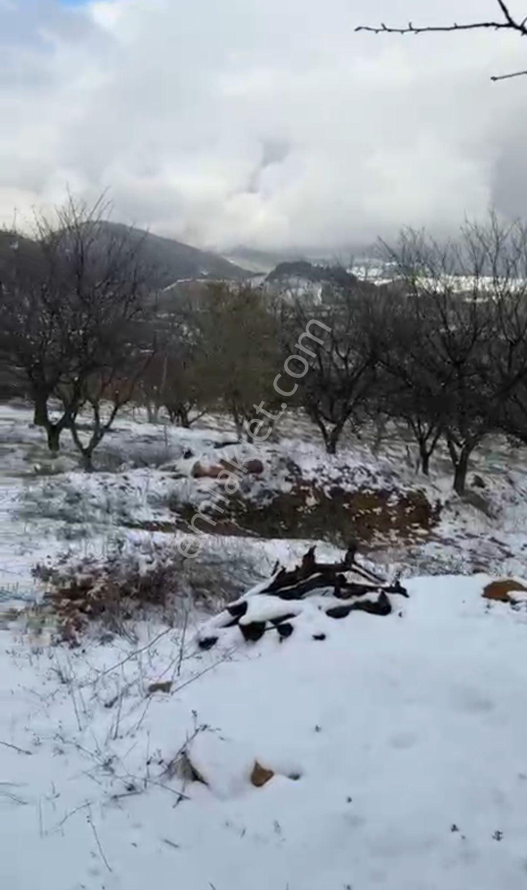 Yenişehir Kızılhisar Da 6487,m2 Yolu Ve Suyu Olan Meyve Bahçesi — fotoğraf 29