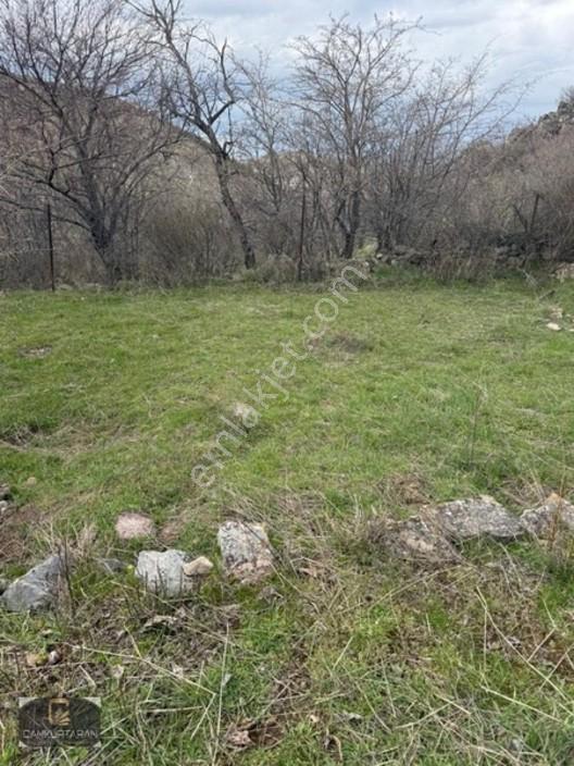 Gesi Güney'de Ev Yapılabilir Satılık Bahçe — fotoğraf 7