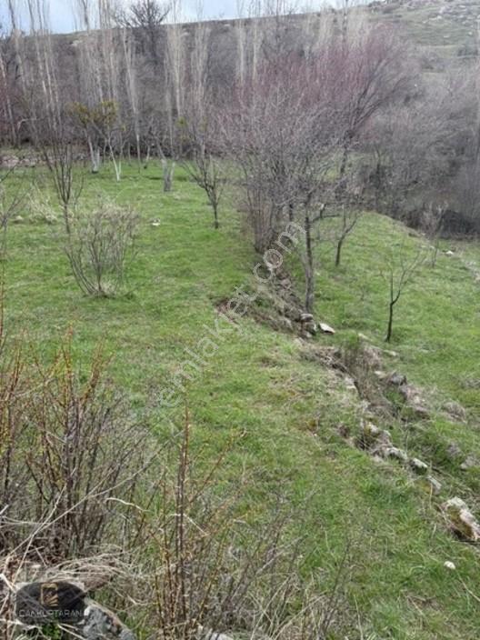 Gesi Güney'de Ev Yapılabilir Satılık Bahçe — fotoğraf 8