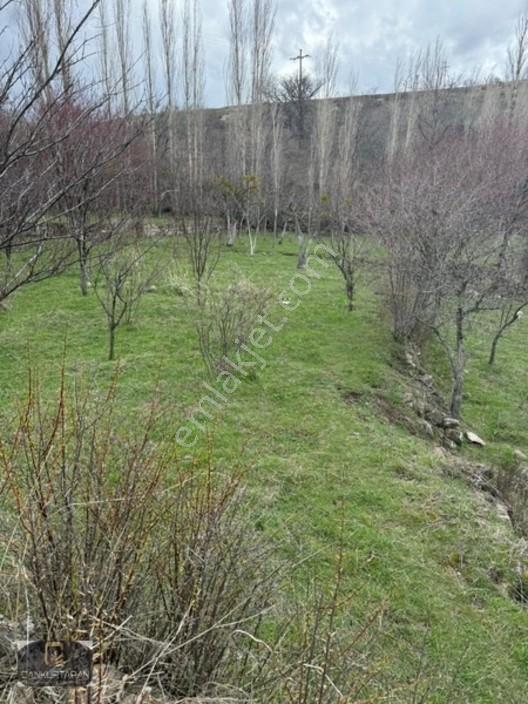 Gesi Güney'de Ev Yapılabilir Satılık Bahçe — fotoğraf 9