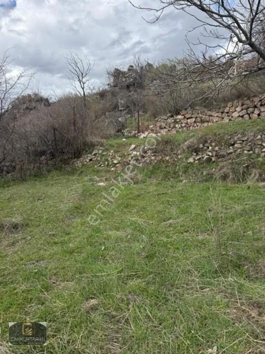 Gesi Güney'de Ev Yapılabilir Satılık Bahçe — fotoğraf 10