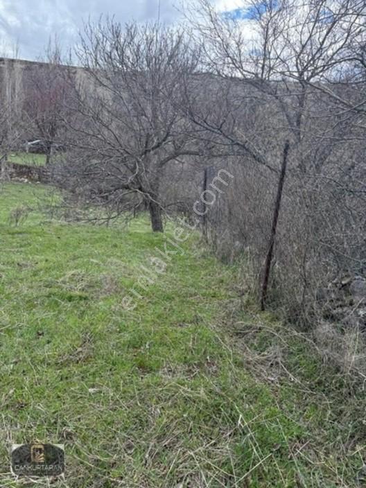 Gesi Güney'de Ev Yapılabilir Satılık Bahçe — fotoğraf 12