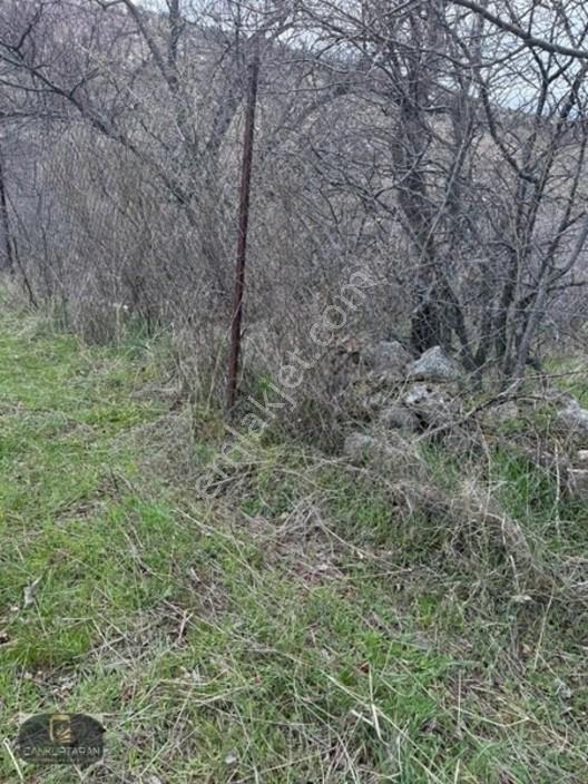 Gesi Güney'de Ev Yapılabilir Satılık Bahçe — fotoğraf 13