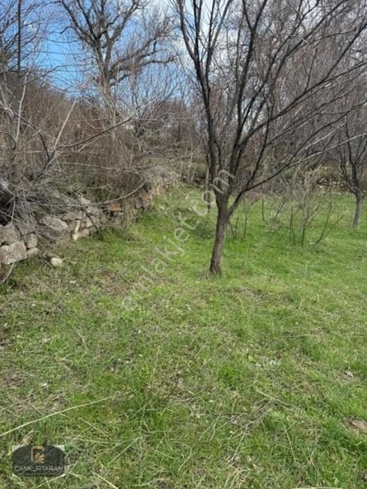Gesi Güney'de Ev Yapılabilir Satılık Bahçe — fotoğraf 14