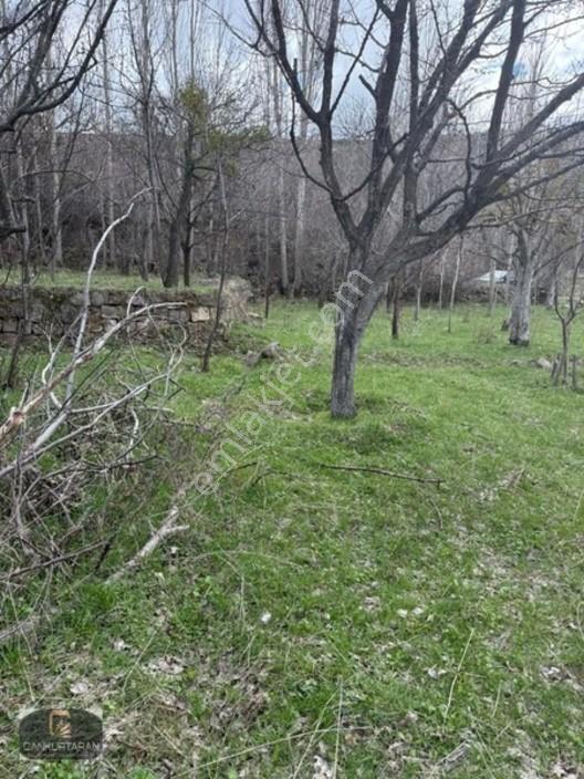 Gesi Güney'de Ev Yapılabilir Satılık Bahçe — fotoğraf 15