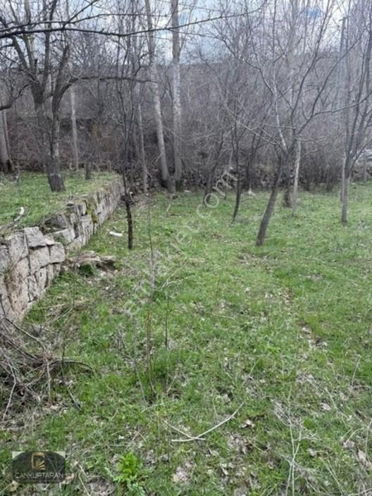 Gesi Güney'de Ev Yapılabilir Satılık Bahçe — fotoğraf 16
