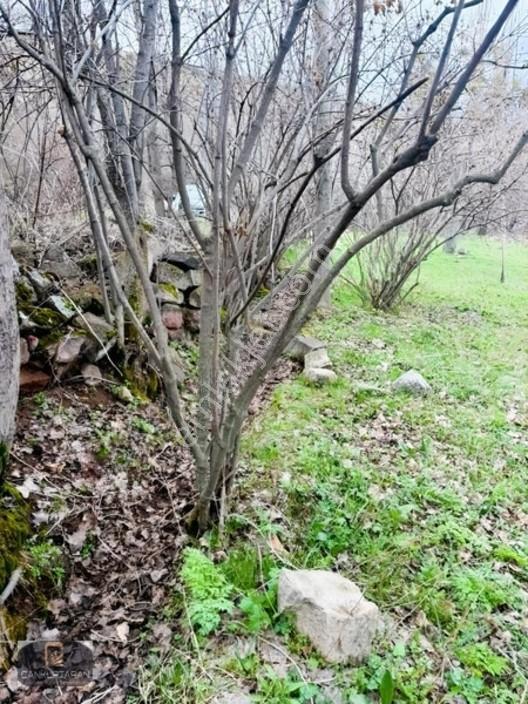 Gesi Güney'de Ev Yapılabilir Satılık Bahçe — fotoğraf 17