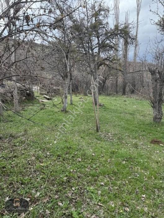 Gesi Güney'de Ev Yapılabilir Satılık Bahçe — fotoğraf 18