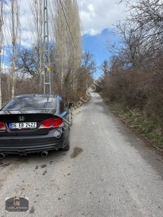 Gesi Güney'de Ev Yapılabilir Satılık Bahçe — fotoğraf 19