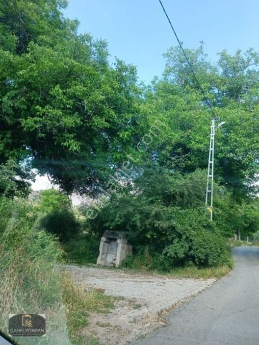Gesi Güney'de Ev Yapılabilir Satılık Bahçe — fotoğraf 21
