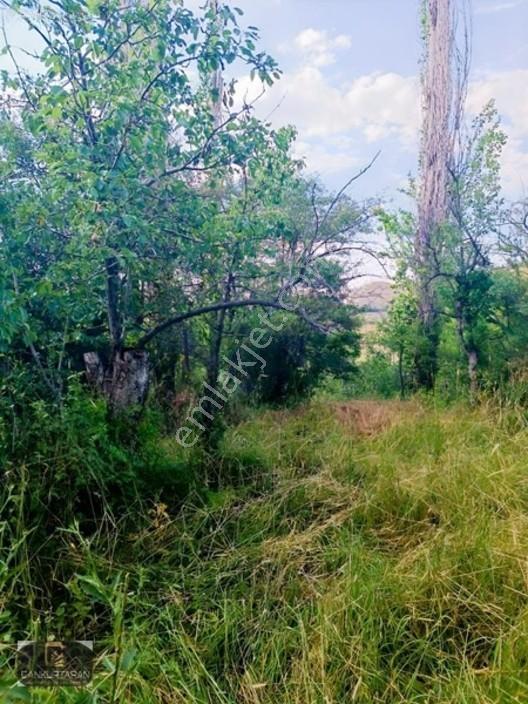 Gesi Güney'de Ev Yapılabilir Satılık Bahçe — fotoğraf 26