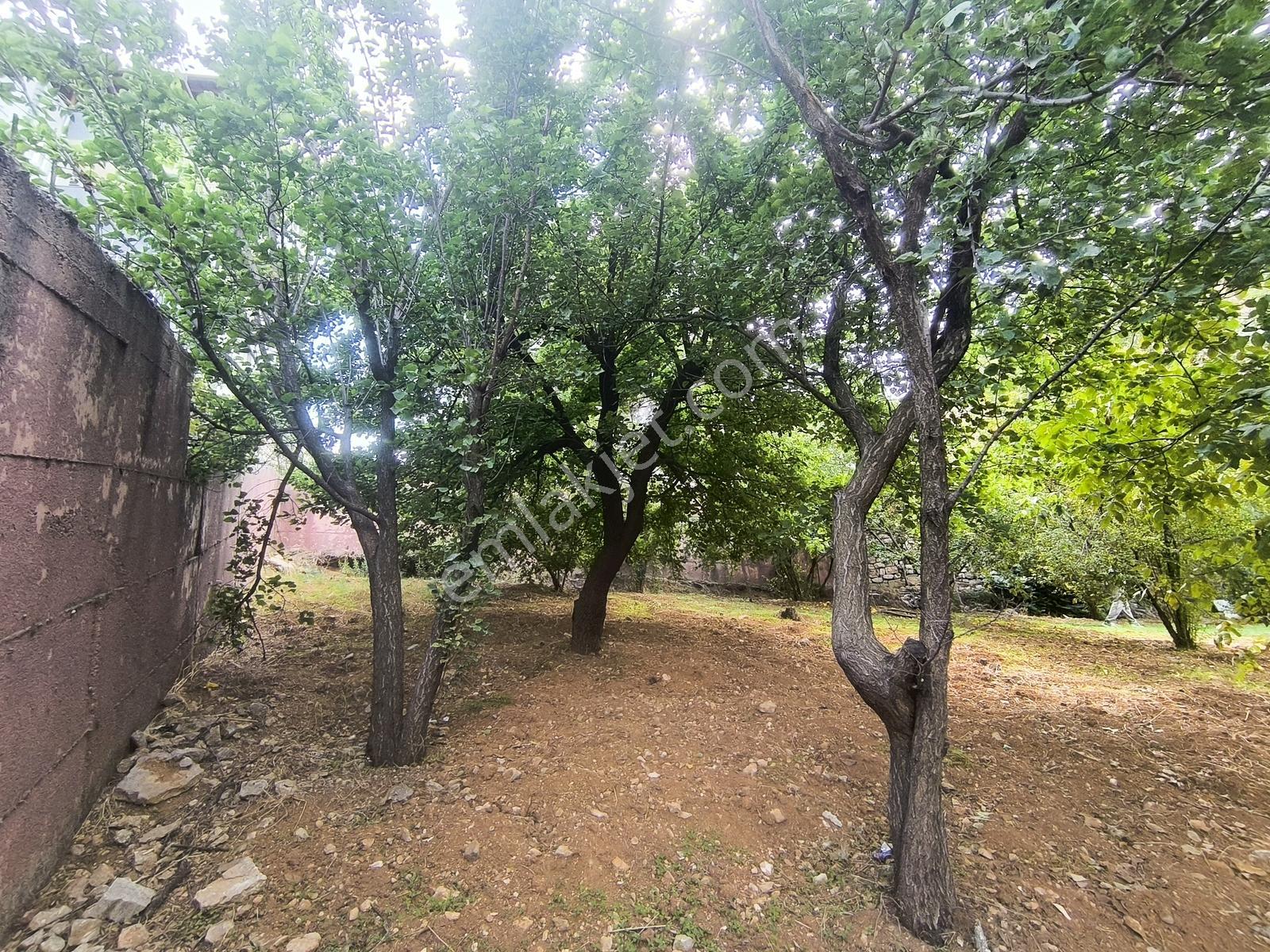 Belen Gedikte Ötüken Sitesi Yanında Satılık 4 Katlı Bina — fotoğraf 20