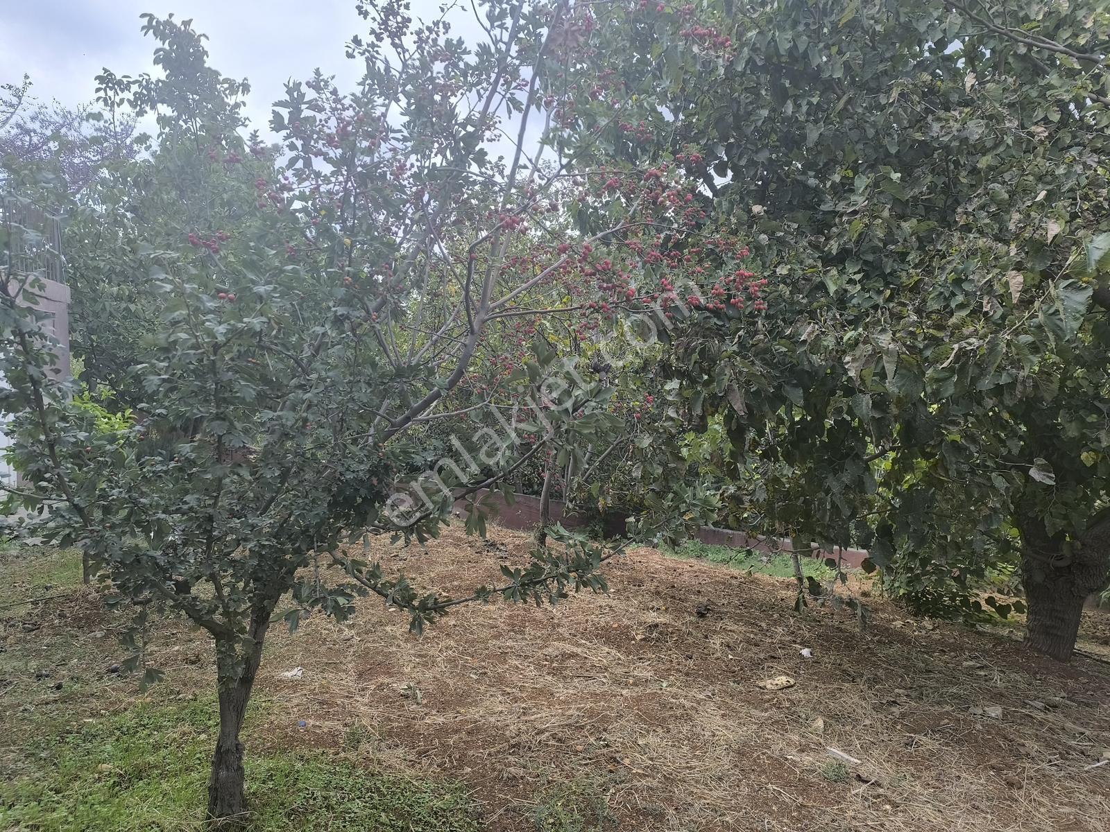 Belen Gedikte Ötüken Sitesi Yanında Satılık 4 Katlı Bina — fotoğraf 23