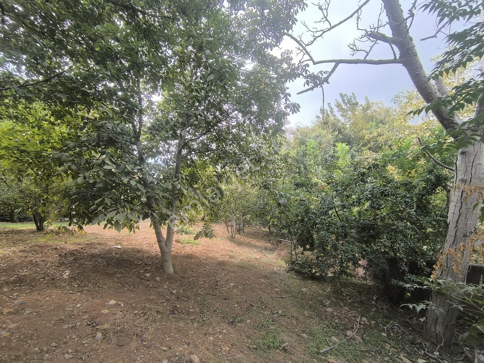 Belen Gedikte Ötüken Sitesi Yanında Satılık 4 Katlı Bina — fotoğraf 24