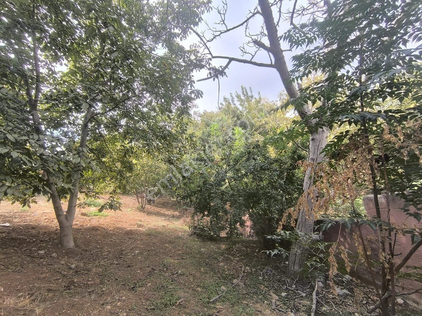 Belen Gedikte Ötüken Sitesi Yanında Satılık 4 Katlı Bina — fotoğraf 25