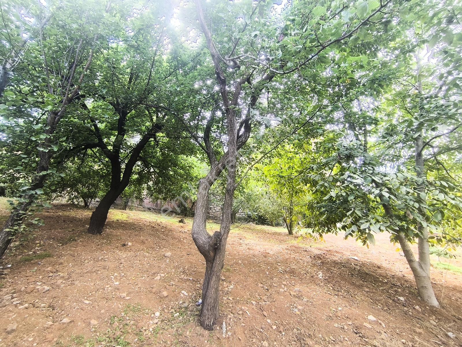 Belen Gedikte Ötüken Sitesi Yanında Satılık 4 Katlı Bina — fotoğraf 29