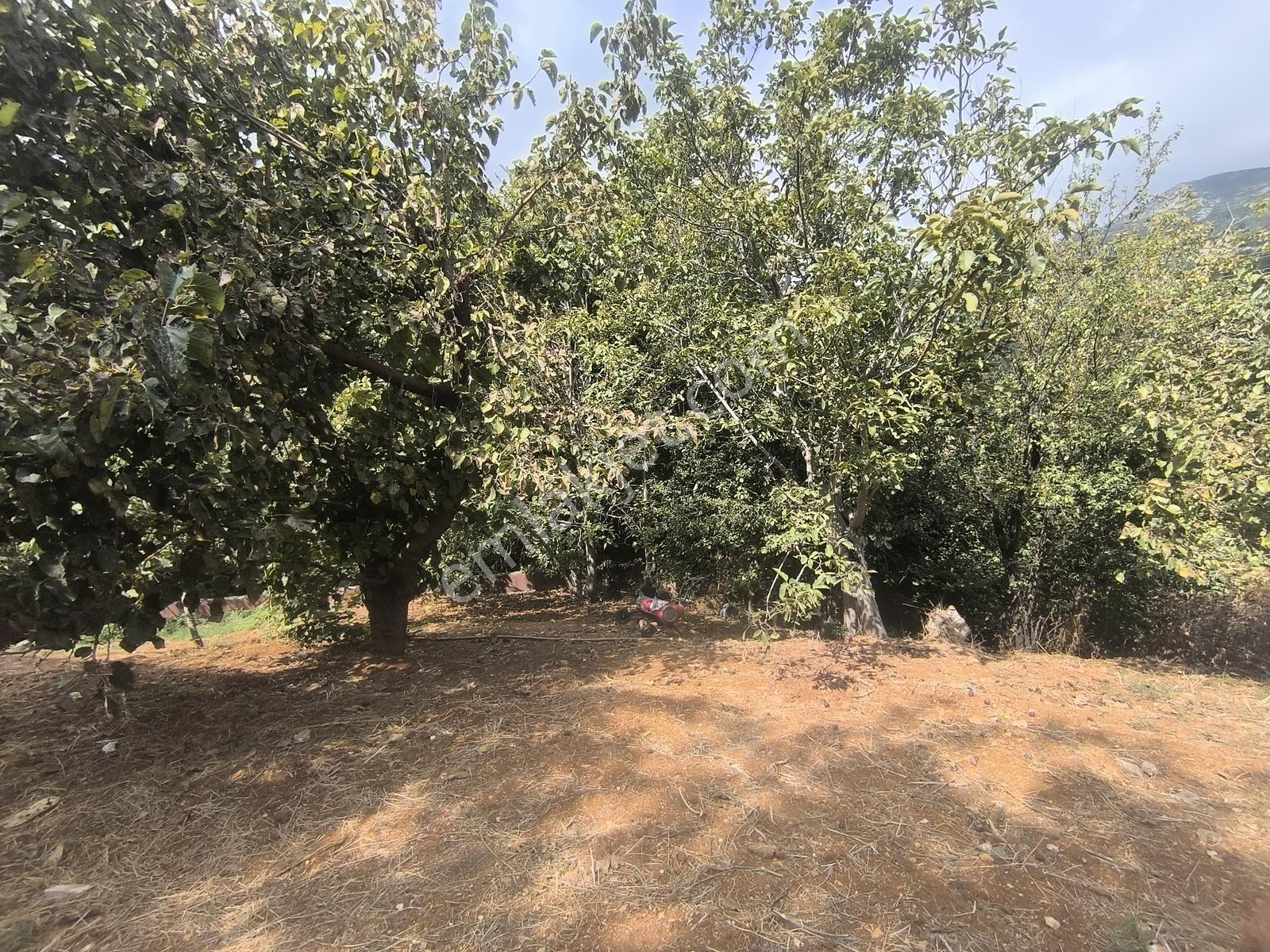 Belen Gedikte Ötüken Sitesi Yanında Satılık 4 Katlı Bina — fotoğraf 30