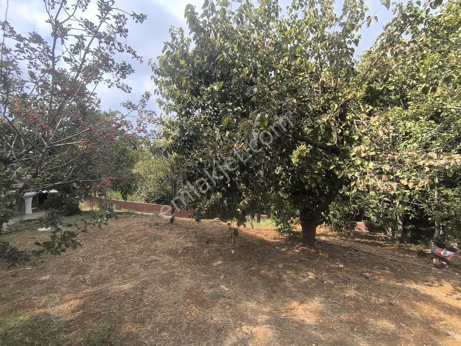 Belen Gedikte Ötüken Sitesi Yanında Satılık 4 Katlı Bina — fotoğraf 31