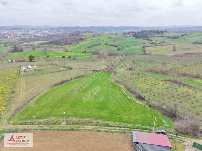 Kandıra Orhan Mahallesinde %5 İmarlı 6.167 M² Yatırımlık Fırsat