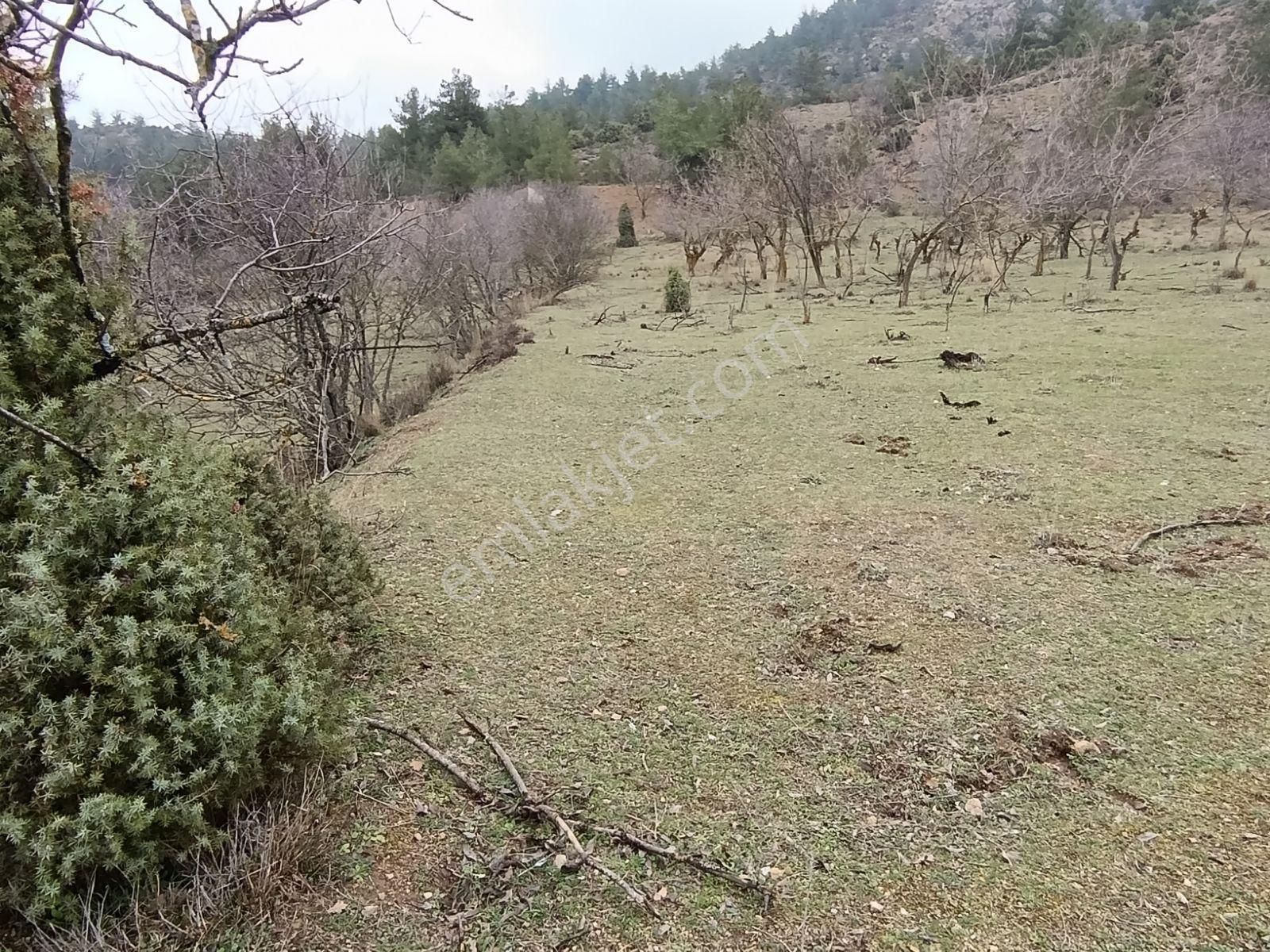 Hobi Bahçesi / Kaçış Noktası — fotoğraf 2