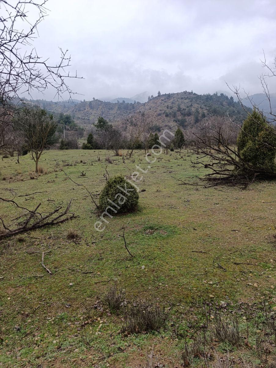 Hobi Bahçesi / Kaçış Noktası — fotoğraf 8