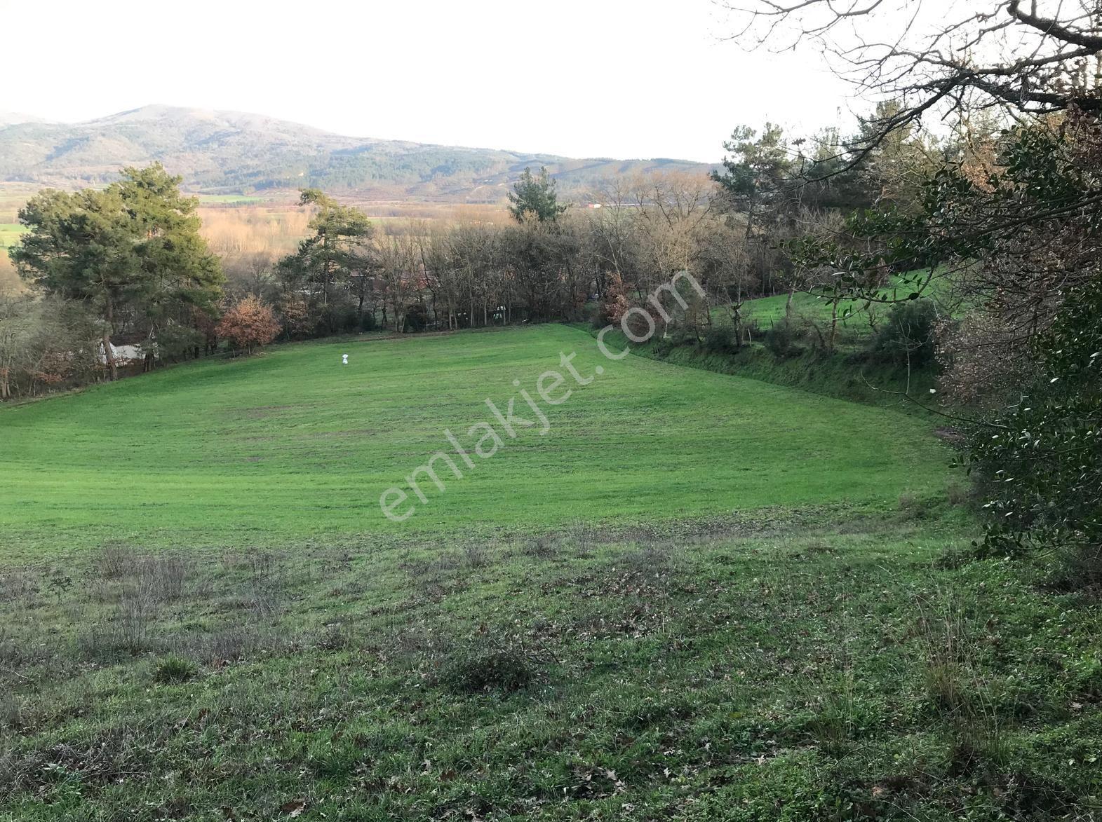 Yenice Davutköyde Kazdağları Doğasında Tarım Ve Yatırımlık Tarla